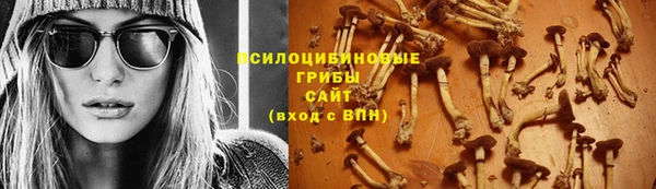 apvp Козловка