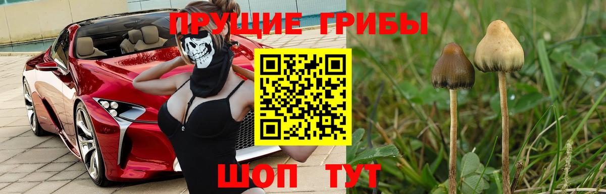 Галлюциногенные грибы Magic Shrooms Шали